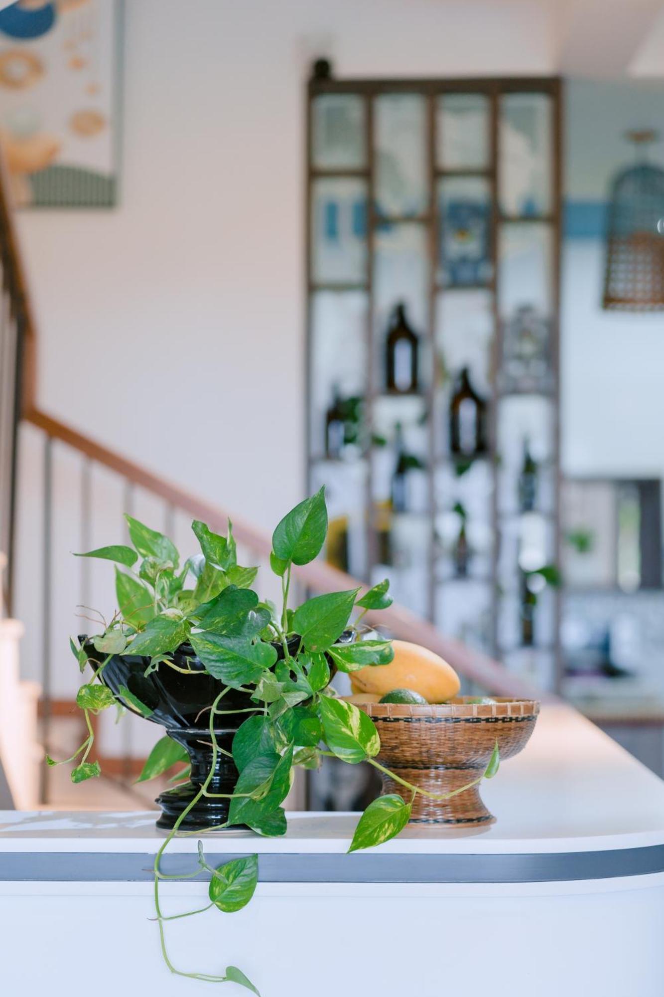Bs Jade Home Хой Ан Екстериор снимка